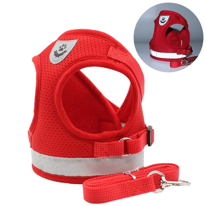 Cat Harness And Leash - Adjustable