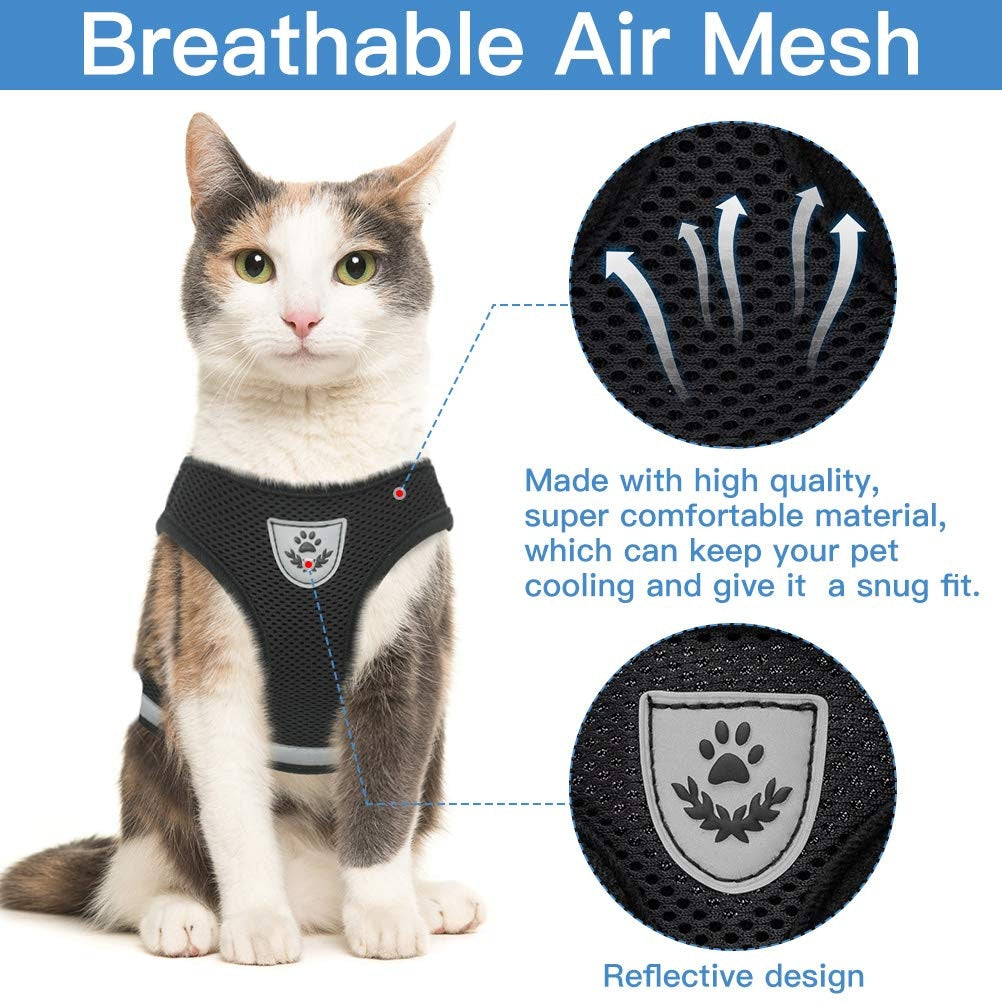 Cat Harness And Leash - Adjustable
