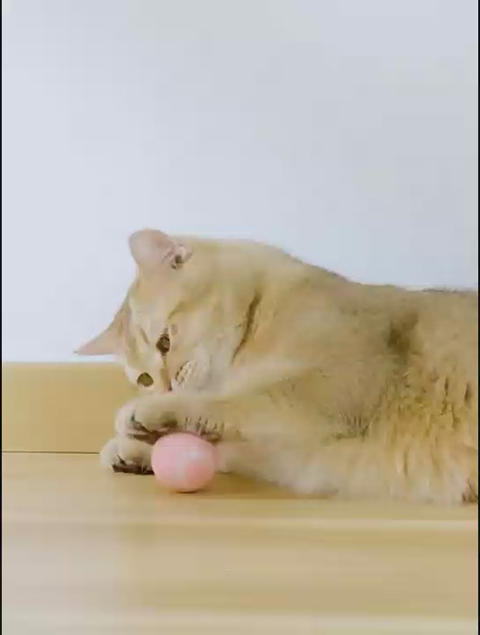 Smart Cat Toys Automatic Rolling Ball Electric Toys Interactive